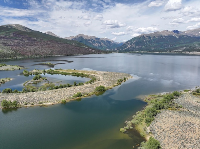 350 La Plata Peak Dr, Twin Lakes, CO 81251 - photo 21