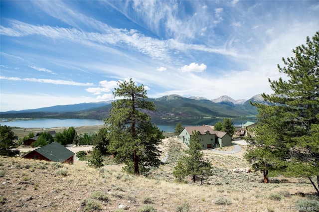 350 La Plata Peak Dr, Twin Lakes, CO 81251 - photo 23