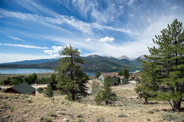 350 La Plata Peak Dr, Twin Lakes, CO 81251 - photo 24