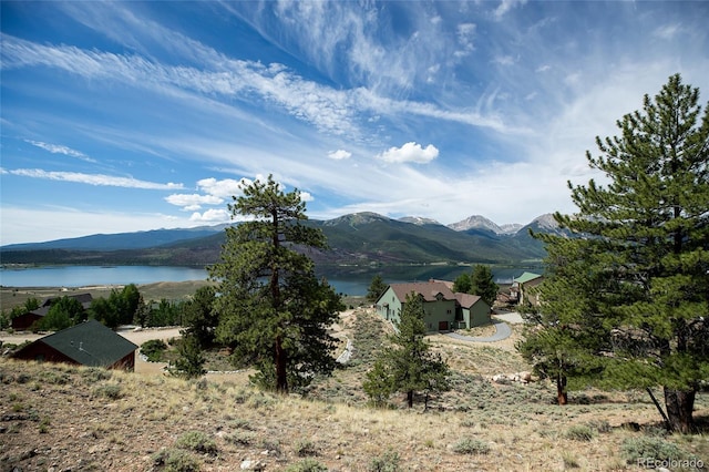 350 La Plata Peak Dr, Twin Lakes, CO 81251 - photo 25