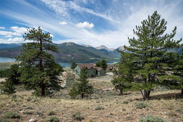 350 La Plata Peak Dr, Twin Lakes, CO 81251 - photo 26