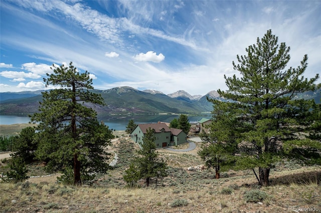 350 La Plata Peak Dr, Twin Lakes, CO 81251 - photo 27