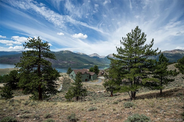 350 La Plata Peak Dr, Twin Lakes, CO 81251 - photo 28
