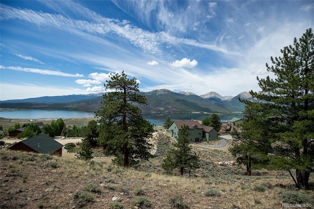 350 La Plata Peak Dr, Twin Lakes, CO 81251 - photo 29