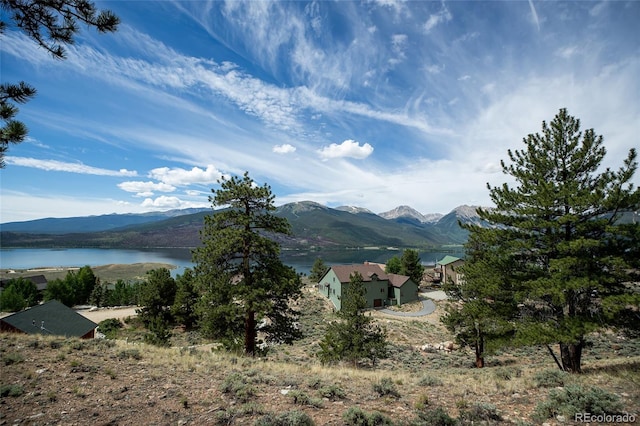 350 La Plata Peak Dr, Twin Lakes, CO 81251 - photo 30