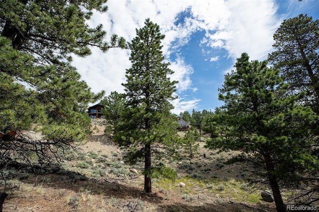 350 La Plata Peak Dr, Twin Lakes, CO 81251 - photo 32