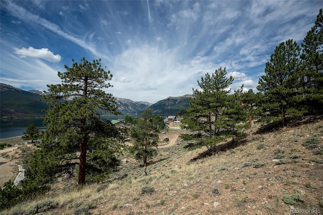 350 La Plata Peak Dr, Twin Lakes, CO 81251 - photo 33