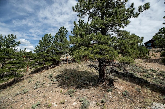 350 La Plata Peak Dr, Twin Lakes, CO 81251 - photo 34