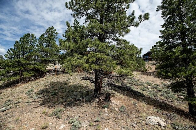 350 La Plata Peak Dr, Twin Lakes, CO 81251 - photo 35