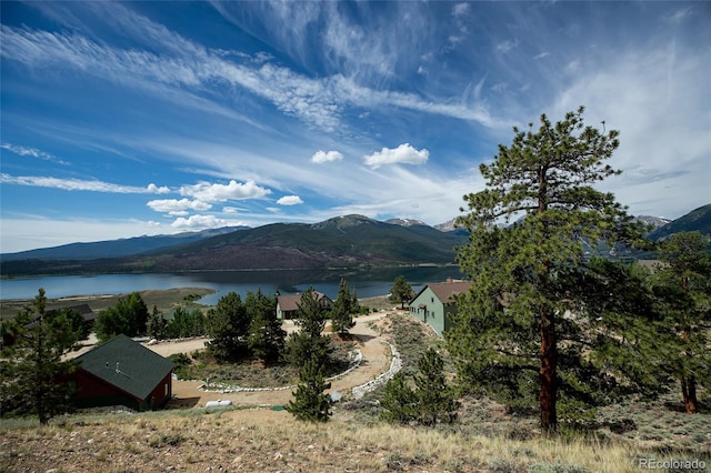 350 La Plata Peak Dr, Twin Lakes, CO 81251 - photo 36