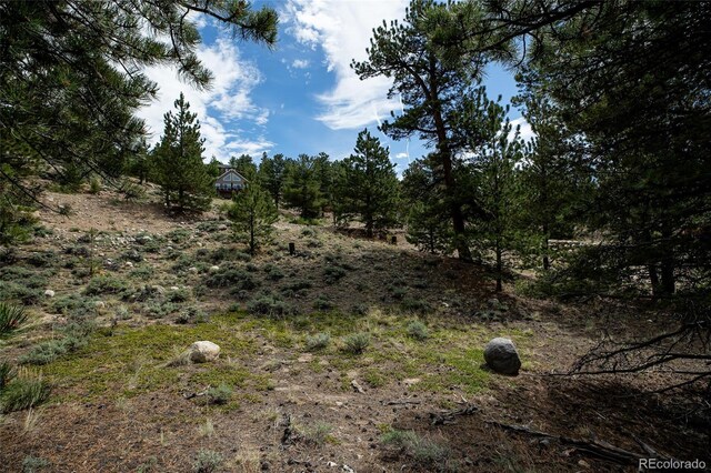 350 La Plata Peak Dr, Twin Lakes, CO 81251 - photo 37