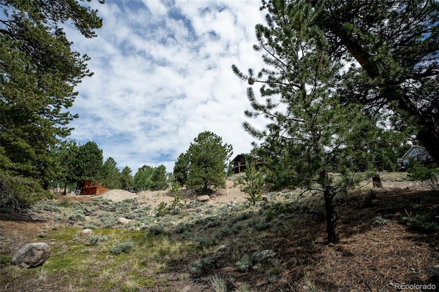 350 La Plata Peak Dr, Twin Lakes, CO 81251 - photo 38