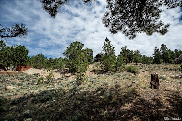 350 La Plata Peak Dr, Twin Lakes, CO 81251 - photo 39