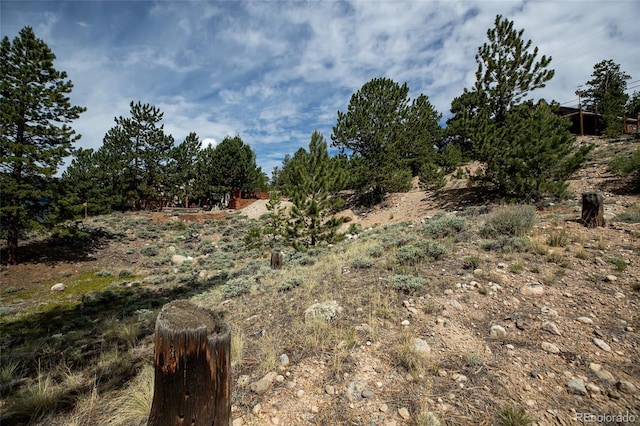 350 La Plata Peak Dr, Twin Lakes, CO 81251 - photo 40