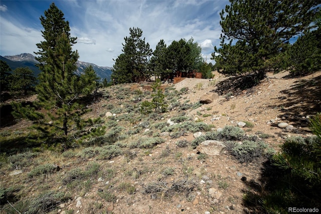 350 La Plata Peak Dr, Twin Lakes, CO 81251 - photo 42