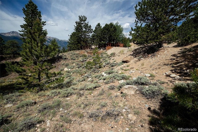 350 La Plata Peak Dr, Twin Lakes, CO 81251 - photo 43