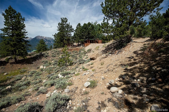350 La Plata Peak Dr, Twin Lakes, CO 81251 - photo 44