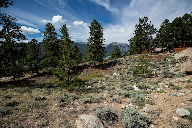 350 La Plata Peak Dr, Twin Lakes, CO 81251 - photo 45