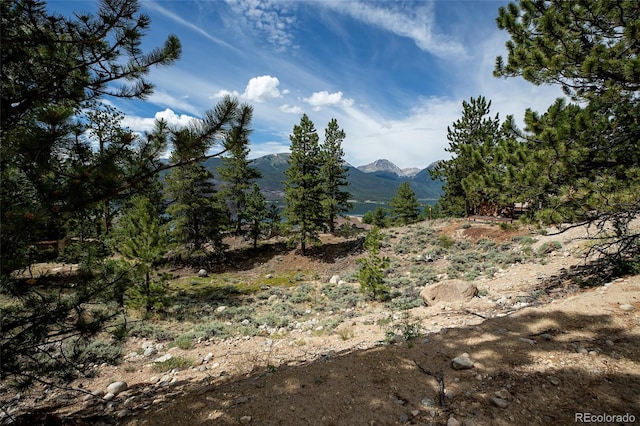 350 La Plata Peak Dr, Twin Lakes, CO 81251 - photo 46