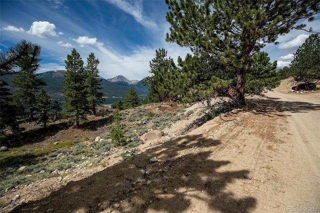 350 La Plata Peak Dr, Twin Lakes, CO 81251 - photo 47