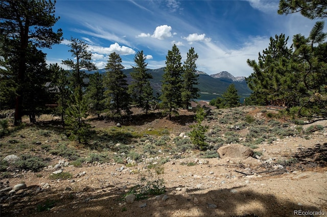 350 La Plata Peak Dr, Twin Lakes, CO 81251 - photo 49