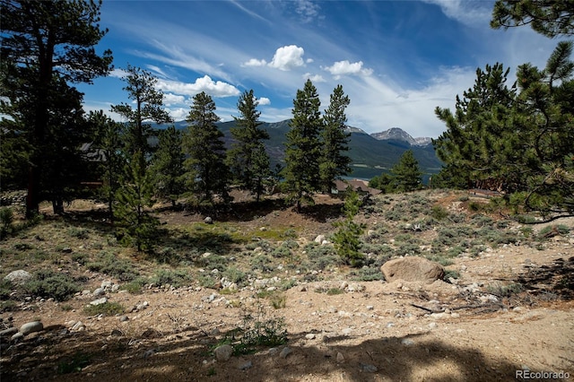 350 La Plata Peak Dr, Twin Lakes, CO 81251 - photo 50
