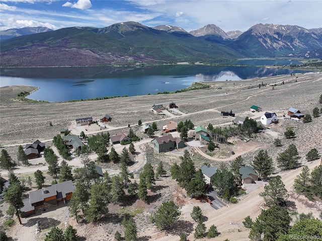 350 La Plata Peak Dr, Twin Lakes, CO 81251 - photo 3