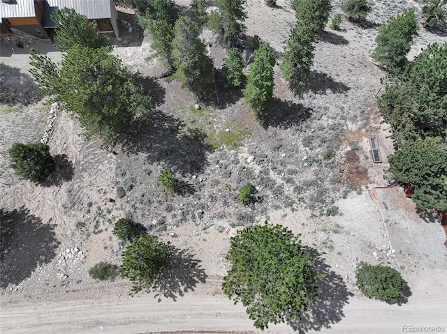 350 La Plata Peak Dr, Twin Lakes, CO 81251 - photo 5