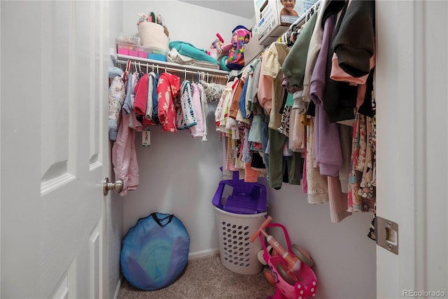 spacious closet featuring carpet floors