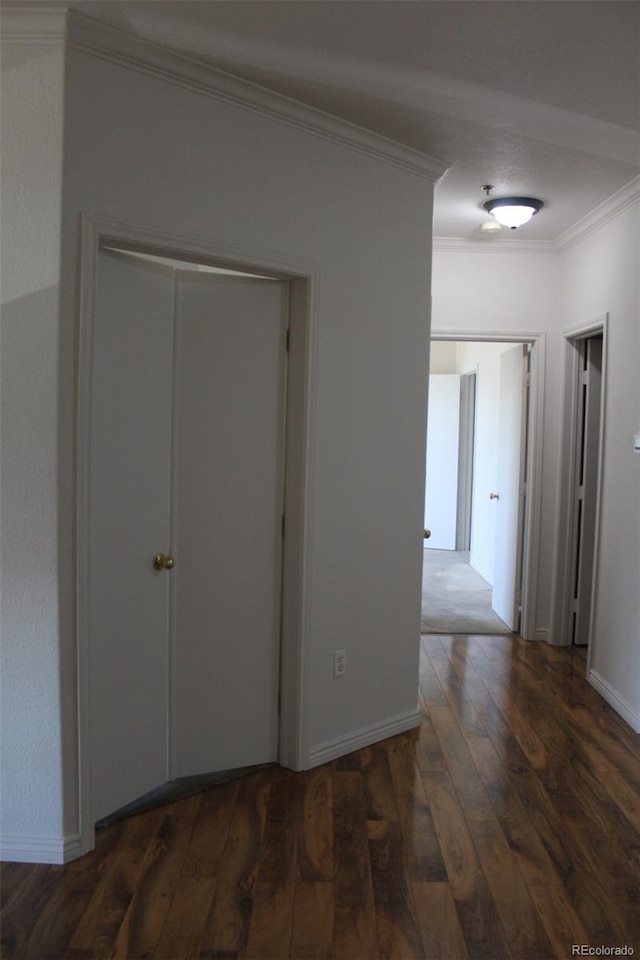 interior space featuring crown molding, dark hardwood / wood-style floors, and a closet