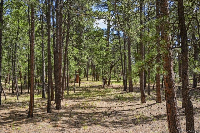 7014 Burgess Rd, Colorado Springs CO, 80908 land for sale