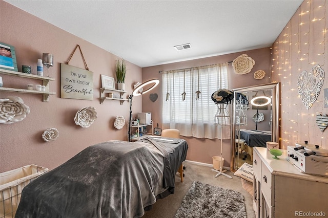 16863 Trail View Cir, Parker, CO 80134 - carpeted bedroom with baseboards