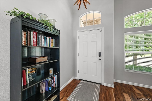 16863 Trail View Cir, Parker, CO 80134 - foyer entrance with wood finished floors and a high ceiling