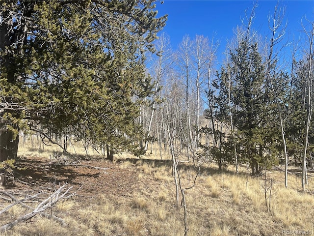 90 Pahaska Way, Como CO, 80432 land for sale