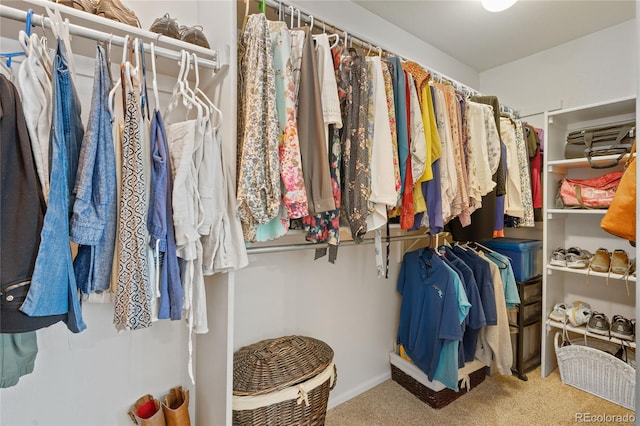 spacious closet with carpet flooring