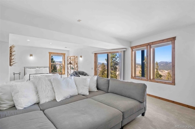 538 Sawmill Creek Rd, Evergreen, CO 80439 - living area featuring baseboards, a wealth of natural light, and light carpet