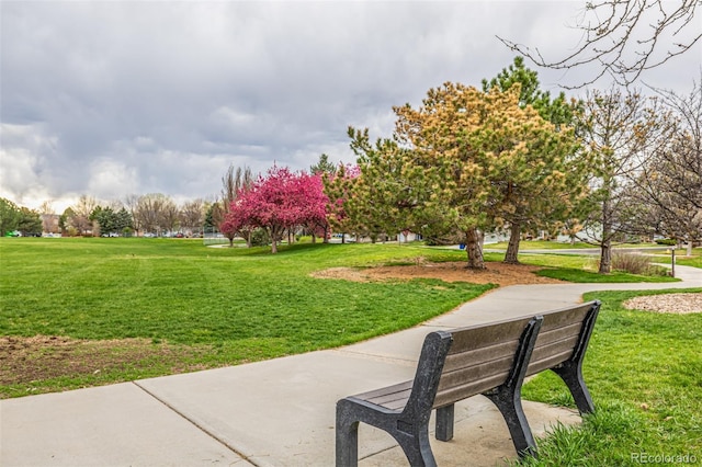 surrounding community featuring a lawn