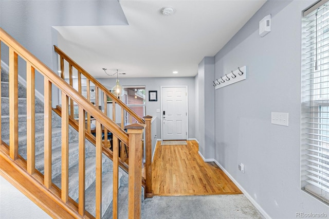 stairway featuring carpet floors