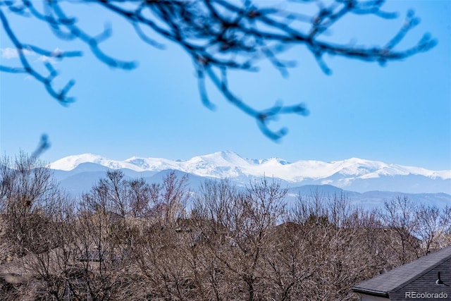 9239 Erminedale Dr, Lone Tree, CO 80124 - mountain view