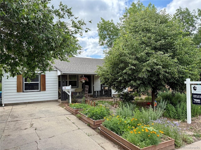 1341 Chester St, Aurora, CO 80010 - view of front facade featuring a garden, a porch, a shingled roof, and driveway