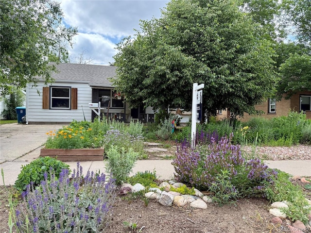 1341 Chester St, Aurora, CO 80010 - view of front of house featuring a vegetable garden and a shingled roof