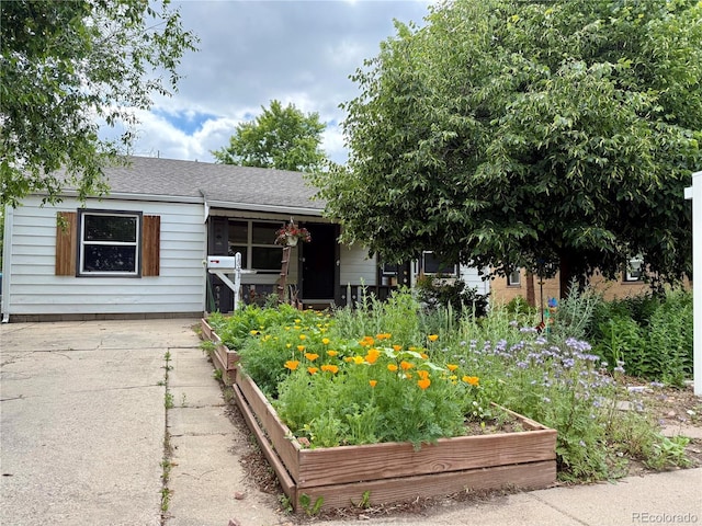 1341 Chester St, Aurora, CO 80010 - view of front facade with a garden and roof with shingles
