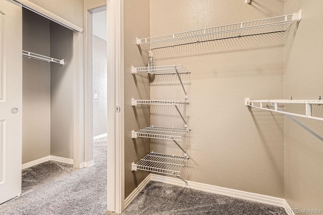 spacious closet with carpet