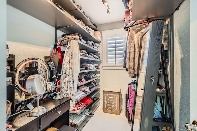 spacious closet featuring carpet