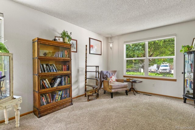 13235 Clermont Cir, Thornton, CO 80241 - sitting room with carpet flooring and a textured ceiling