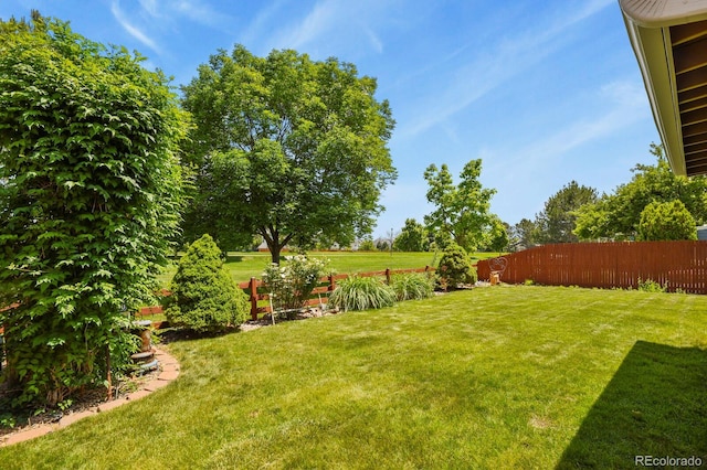 13235 Clermont Cir, Thornton, CO 80241 - view of yard