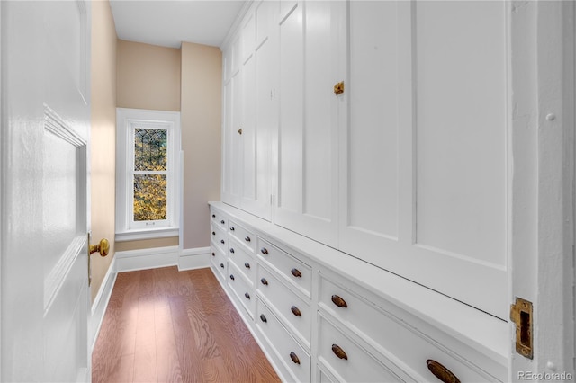 walk in closet with light hardwood / wood-style floors