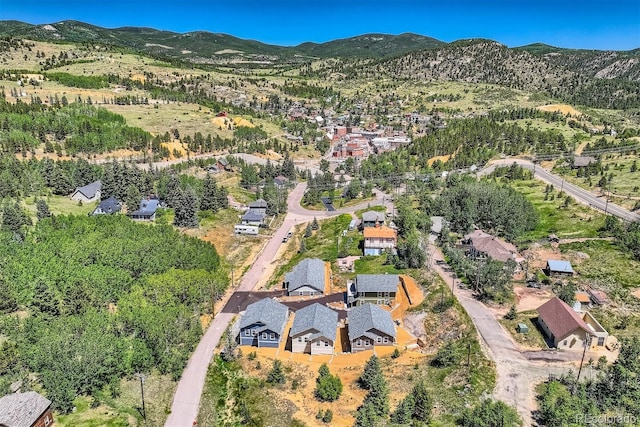 300 Roworth Way, Central City, CO 80427 - photo 2