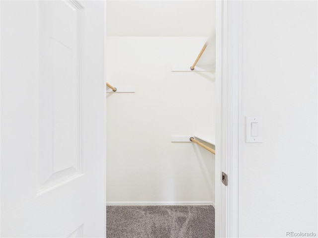 walk in closet featuring carpet floors