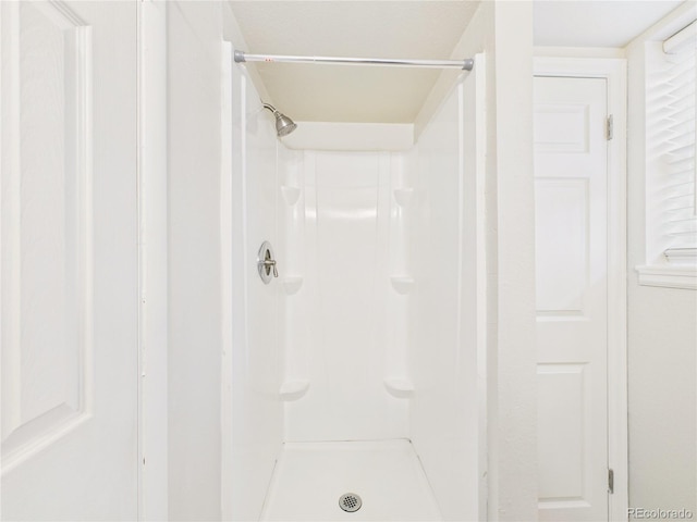 bathroom with walk in shower